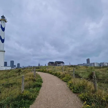 Queen - Luxe & House - 4, 3 Or 2 Bedrooms *