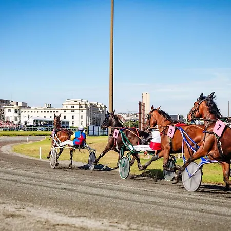 Nyaraló Queen - Luxe & House - 4, 3 Or 2 Bedrooms *